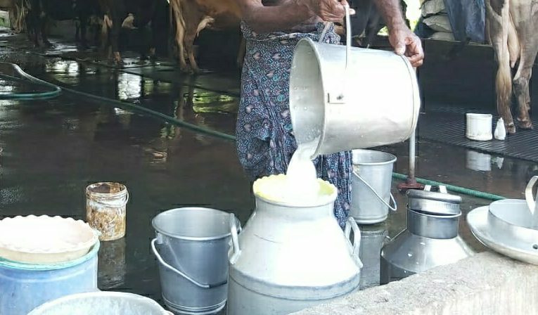 പേശീ വളർച്ചയ്ക്കും രക്തസമ്മർദ്ദം കുറക്കാനും പാൽ കുടിക്കൂ