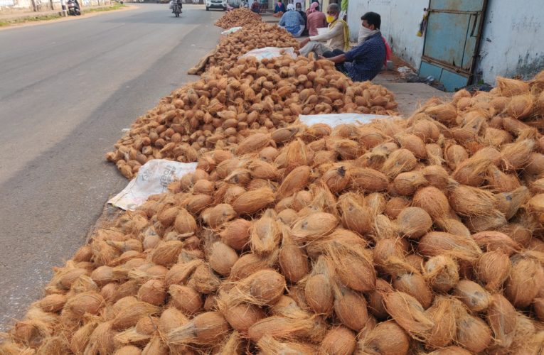 കോവിഡിൽ വലഞ്ഞ് കൊട്ടത്തേങ്ങ വിപണി