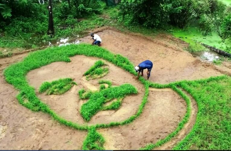 കരനെല്ലിൽ വിരിഞ്ഞ ടോവിനോ ചിത്രം