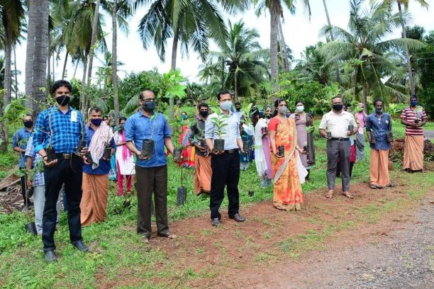 ഇടവിളയിലൂടെ തെങ്ങിന്‍ തോട്ടങ്ങളിൽ ജൈവവൈവിധ്യവത്കരണം