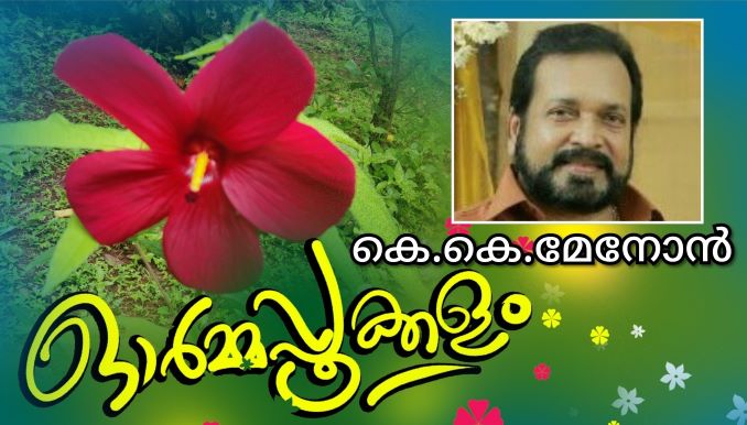 തുയിലുണർത്തു പാട്ടിൻ്റെ…  ഓണപ്പുടവയുടെ ആ ഓണക്കാലം