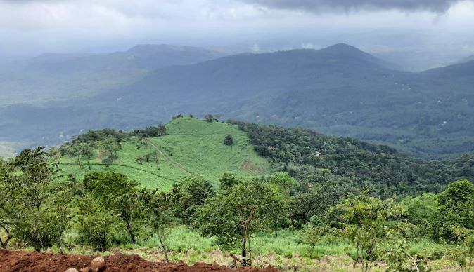 പ്രകൃതിദുരന്തങ്ങൾ ക്ഷണിച്ചു വരുത്താതെ ഭൂമിയെ കാക്കാം