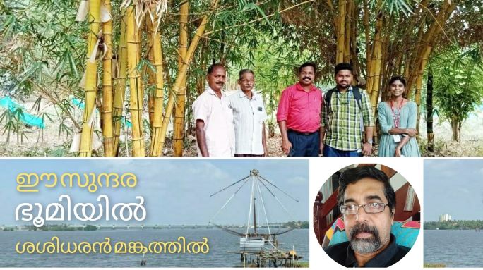 ഇരുവഞ്ഞിപ്പുഴയ്ക്ക് സൗന്ദര്യം പകർന്ന് ഇതാ മനുഷ്യനിർമ്മിത മുളങ്കാട്