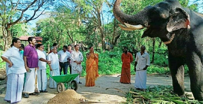 ഗുരുവായൂരിലെ ആനകൾക്ക്‌ കെട്ടുതറികളിൽ മണൽ വിരിപ്പ്