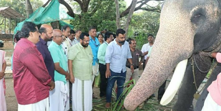 തൃശ്ശൂർ പൂരം: ആനകളുടെ സുരക്ഷിതത്വം വിലയിരുത്തി