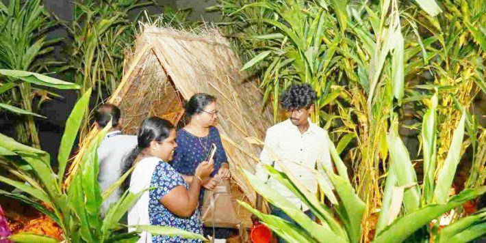 ഏലക്കാട് കാണാൻ ഇടുക്കിക്ക് പോകണ്ട; ആലപ്പുഴ ബീച്ചിലേക്ക് വരൂ