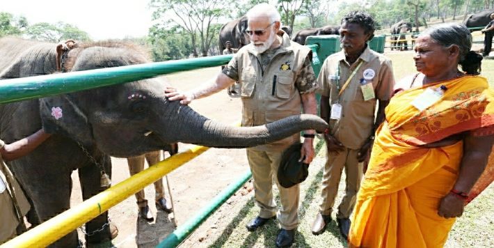 പ്രധാനമന്ത്രി ബന്ദിപ്പൂരും മുതുമലയും സന്ദർശിച്ചു