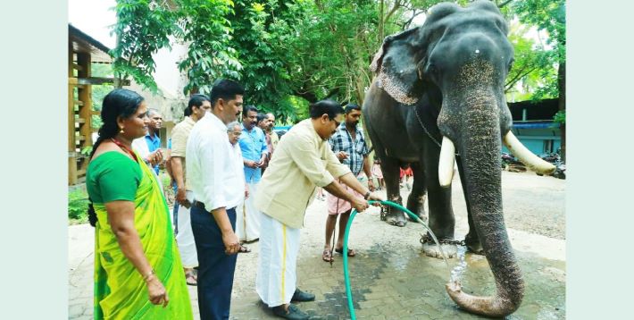 ഗുരുവായൂരിൽ ആനകൾക്ക് ആർ.ഒ. പ്ലാൻ്റ് വഴി ശുദ്ധജലം