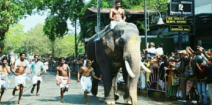 ഗുരുവായൂർ ആനയോട്ടത്തില്‍ ഗോപീകണ്ണന് ഒന്നാം സ്ഥാനം