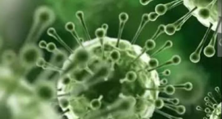 നിപ സമ്പര്‍ക്കപ്പട്ടികയില്‍ 648 പേര്‍; കോഴിക്കോട്ട് 115