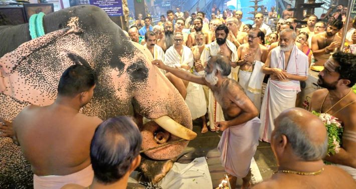 ഗുരുവായൂരിൽ ആനയെ പ്രതീകാത്മകമായി നടയിരുത്തി