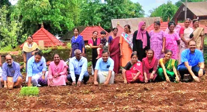 അഞ്ച് ഏക്കറിൽ ചെണ്ടു മല്ലി കൃഷിയുമായി നാറാത്ത് പഞ്ചായത്ത്