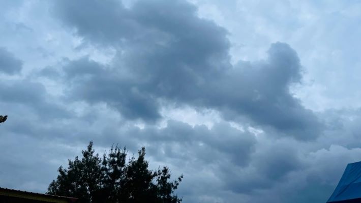 ശക്തമായ മഴയ്ക്ക് സാധ്യത: വിവിധ ജില്ലകളിൽ മഞ്ഞ അലേർട്ട്