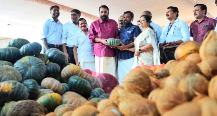 സ്വാദിഷ്ടമായ വിഭവങ്ങളൊരുക്കാൻ കലോത്സവക്കലവറ ഒരുങ്ങി